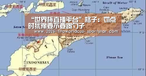 世界杯直播平台
