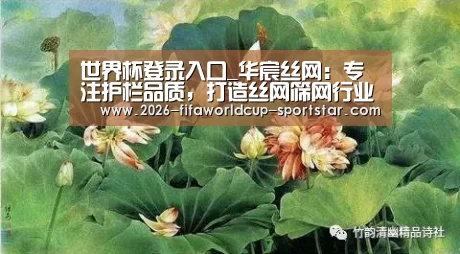 世界杯直播平台