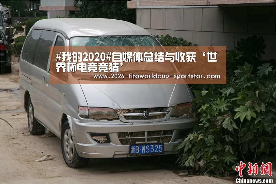#我的2020#自媒体总结与收获‘世界杯电竞竞猜’(图2) 世界杯直播平台